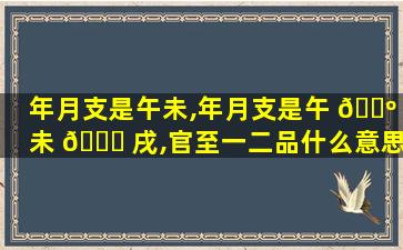 年月支是午未,年月支是午 🌺 未 🐘 戌,官至一二品什么意思